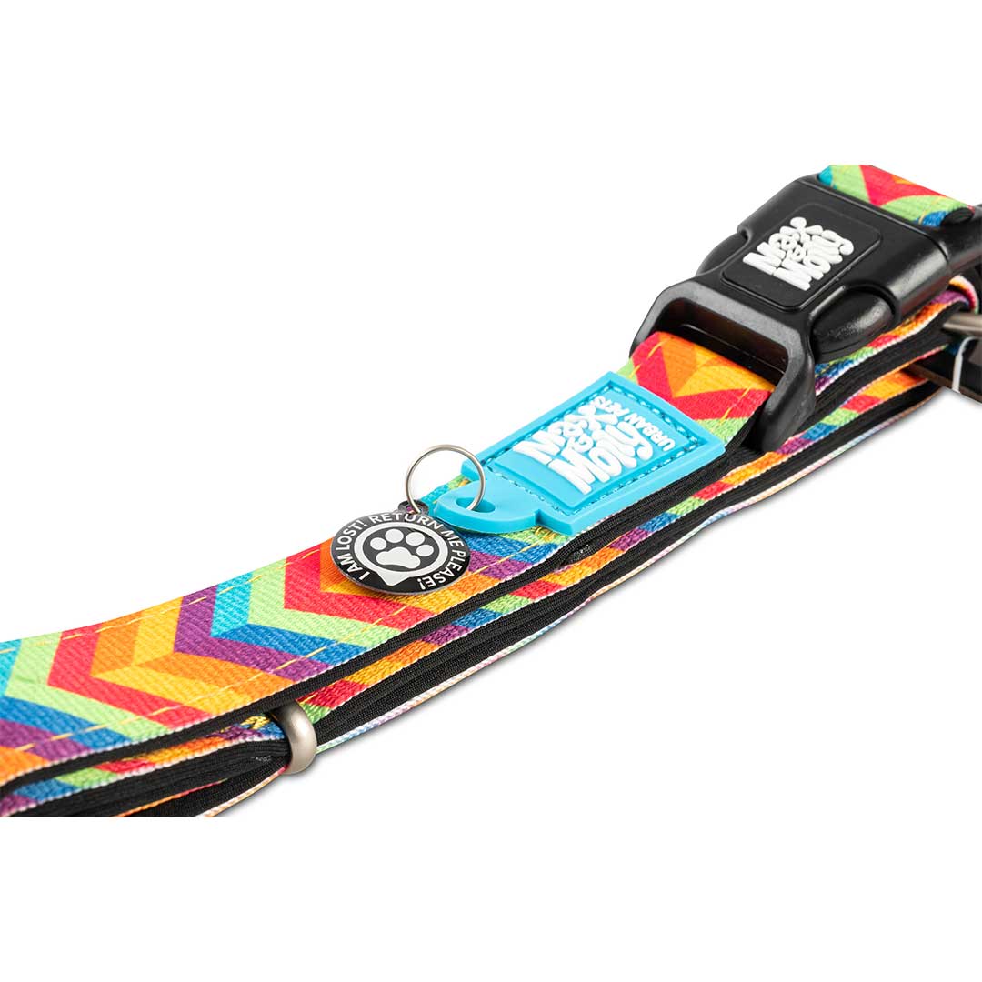 Max & Molly - Wholesale Pet Collar - Dog - GOTCHA! Smart ID Dog Collar - Summertime1