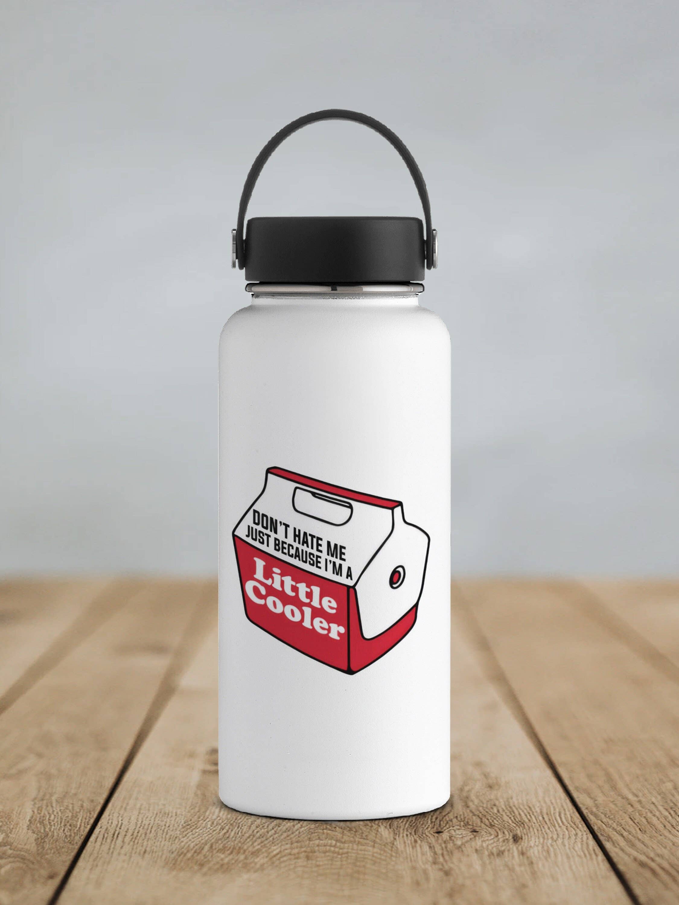 Ozark Sticker Company - Wholesale Sticker - Don't Hate Me Just Because I'm a Little Cooler Sticker3