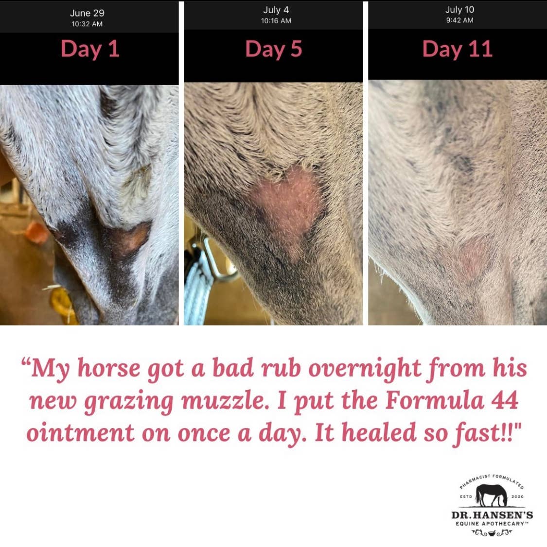 Dr. Hansen's Equine Apothecary - Wholesale Horse Conditioner/Grooming Aid - Formula 44 Ointment3