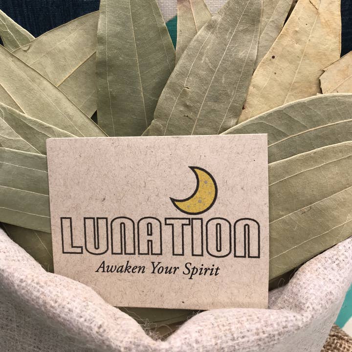 Bay Leaf Oversized for wholesale by Lunation Stores