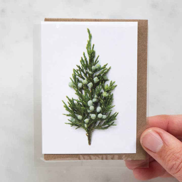 Enclosure card - tiny tree for wholesale by Bottle Branch