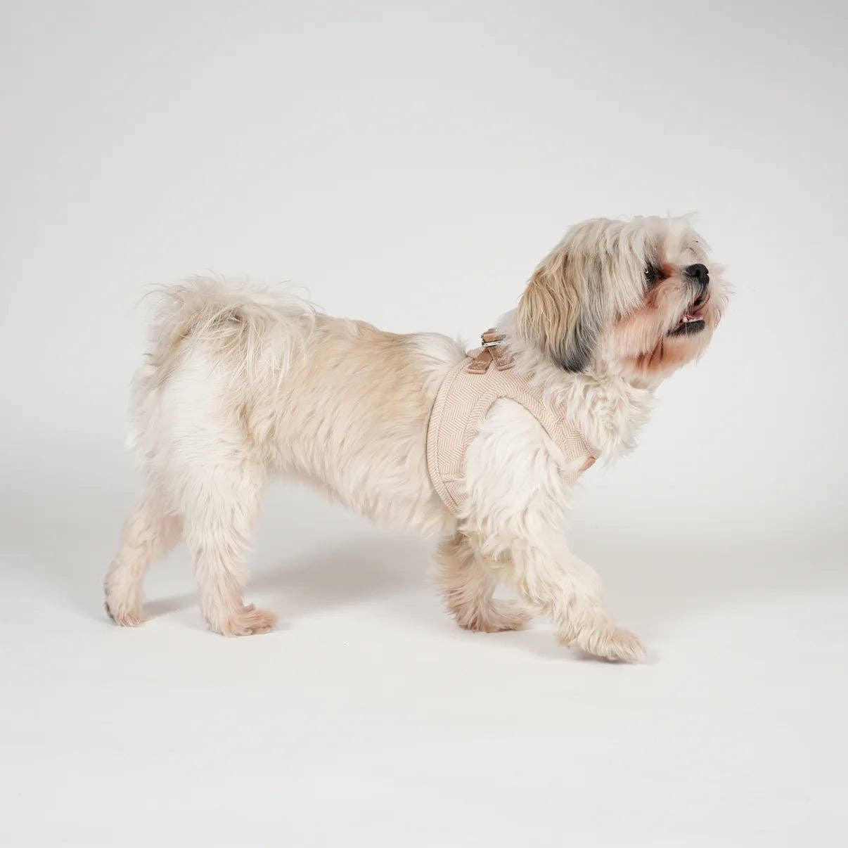 Staey - Wholesale Pet Harness - Dog - Saga Step-In Dog Harness | Light Rose4