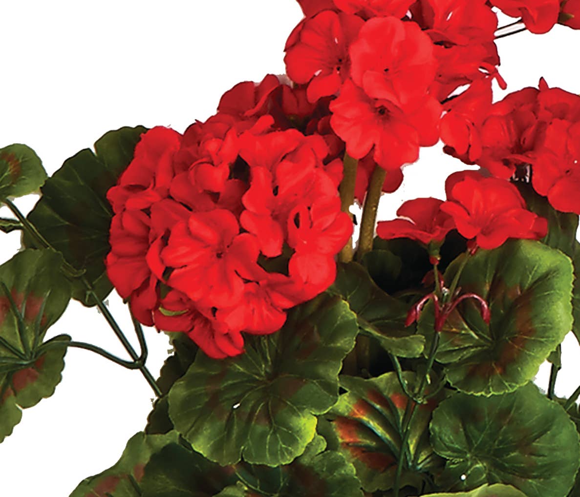 WORTH IMPORTS - Wholesale Artificial Flowers - 18" 9 Head Geranium Bush2