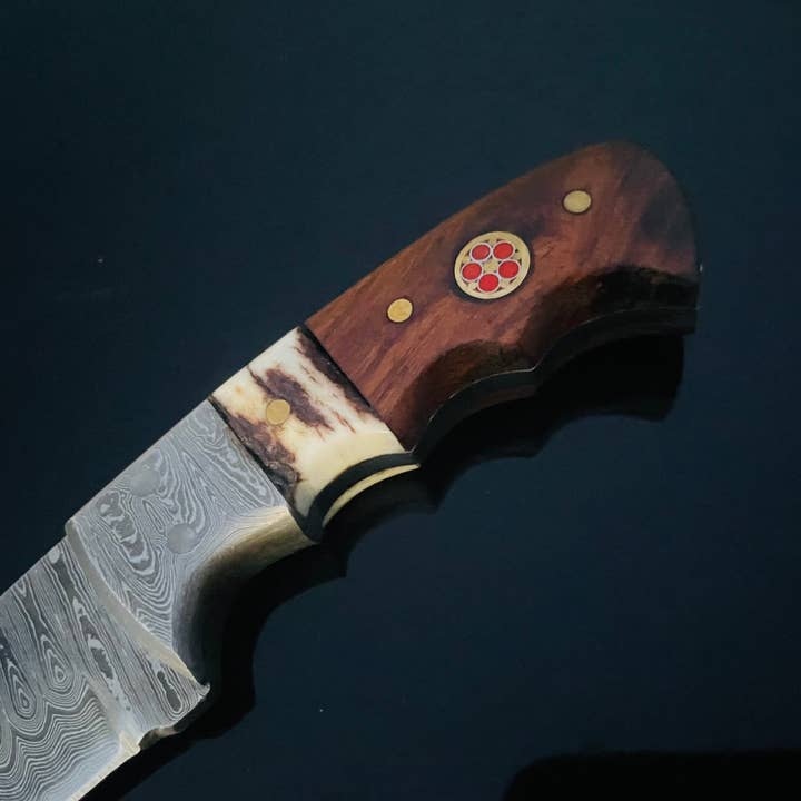 Titan International - Wholesale Pocket Knife/Holder - DAMASCUS STEEL FIXED BLADE KNIFE WITH WALNUT & STAG HORN HAN6