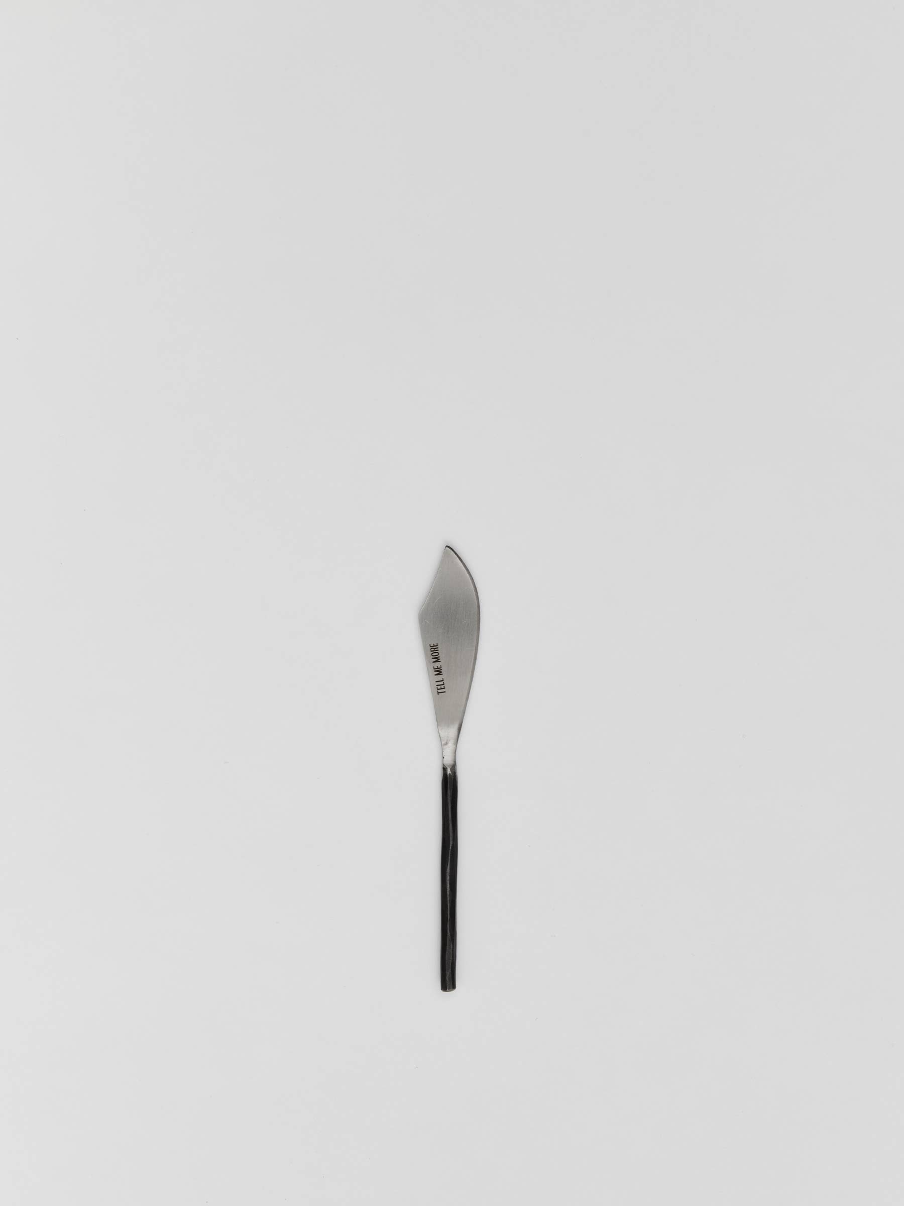 Tell Me More - Wholesale Cheese Spreader - Steel cheese knife1