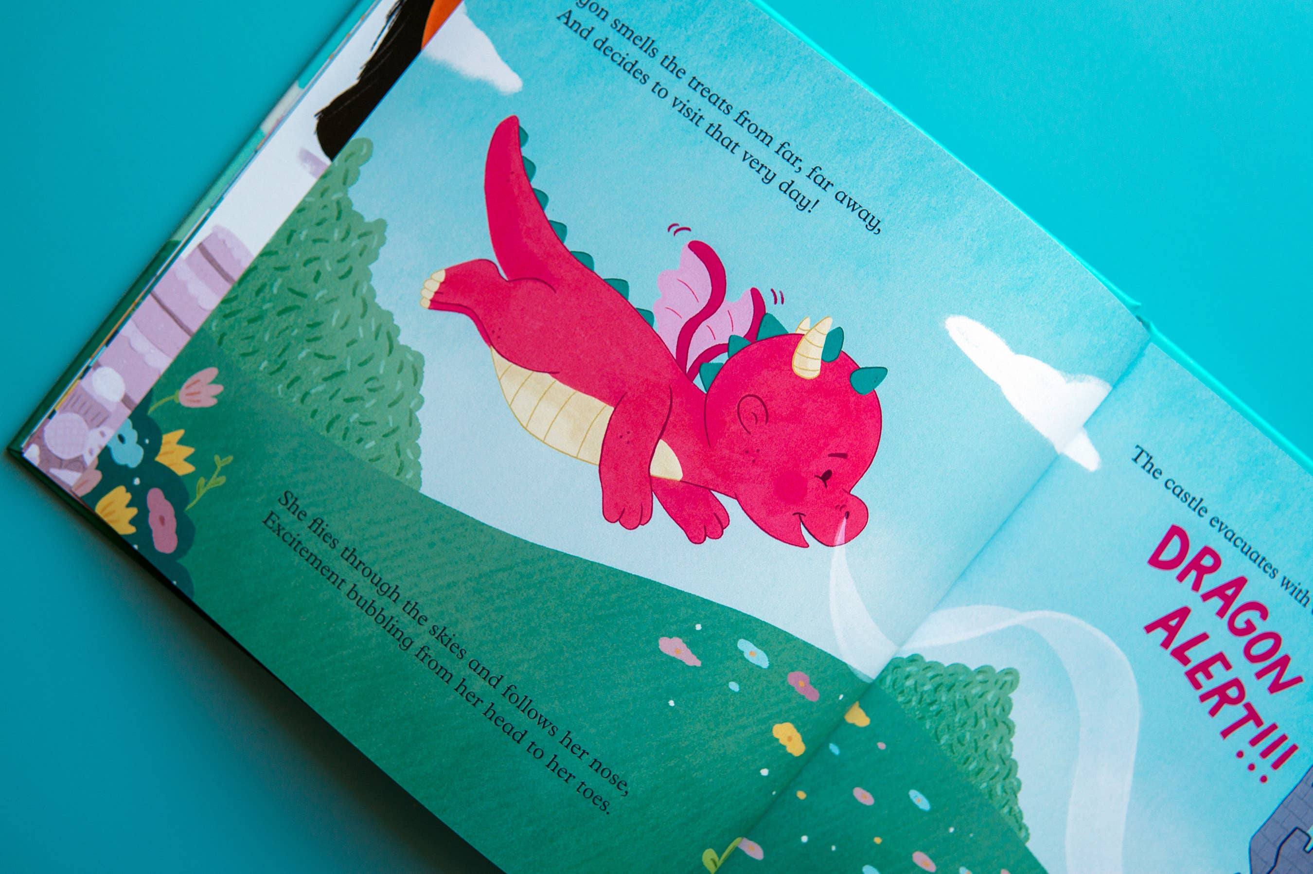 Brown Paper Fox - Wholesale Early Reader Book (6-8) - The Picky Princess and the Dragon | Hardcover Picture Book9