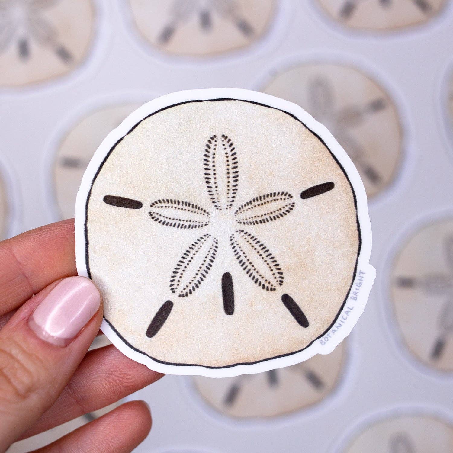 Botanical Bright - Wholesale Sticker - Sand Dollar Waterproof Vinyl Sticker1