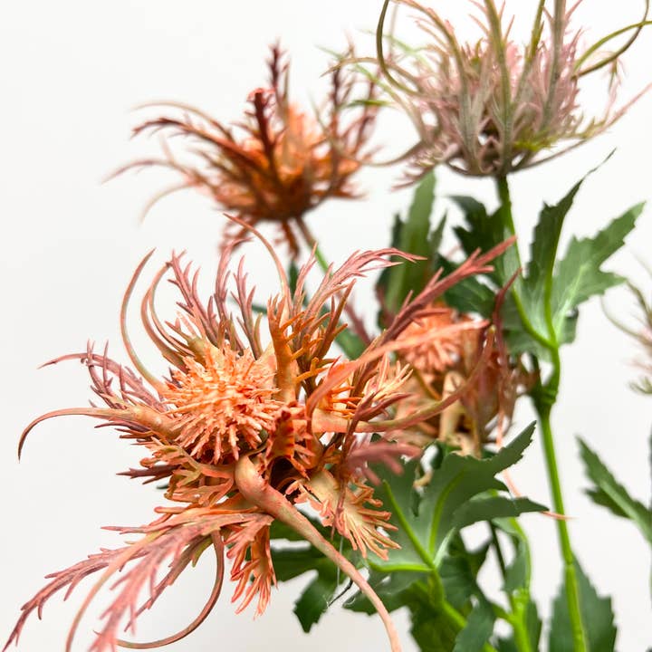 Angel Isabella – Großhandel Künstliche Blumen – Realistische Größe, 66 cm, künstliche Distel, 3 Sprays2