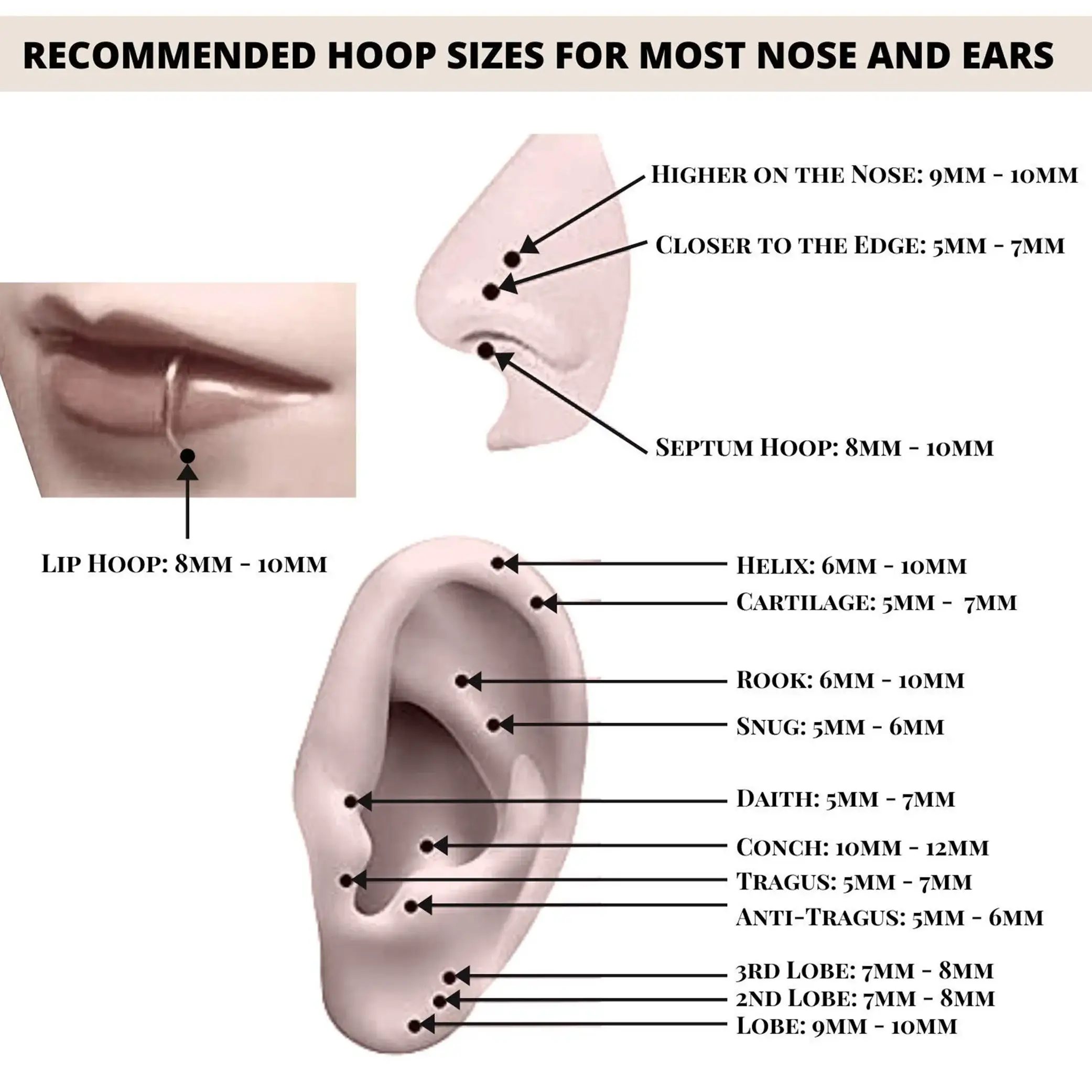 Bodytrend - Wholesale Nose Ring - TITANIUM  - SEGMENT HINGED RINGS , CLICKER RING12