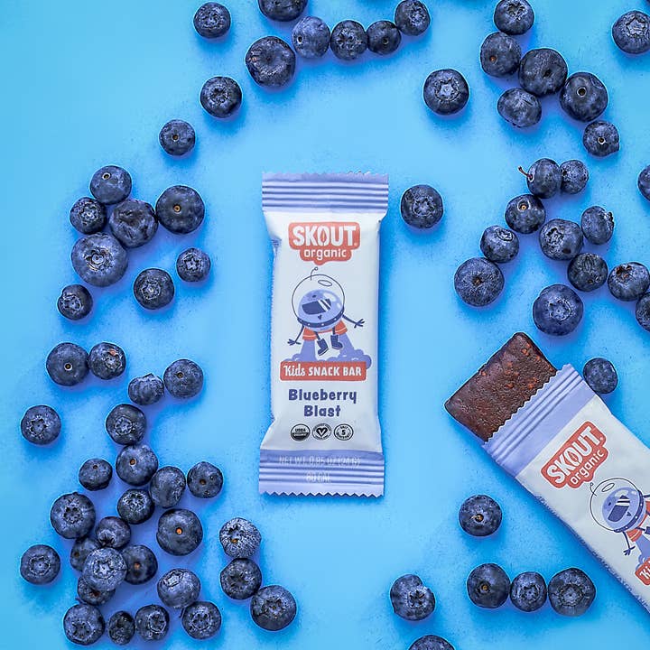 Skout Organic – wholesale Snack bar – Skout Organic Blueberry Blast Kids Snack Bar | Nut-Free