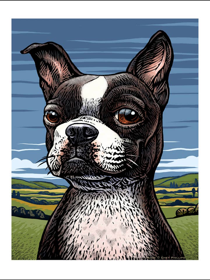 Boston Terrier 8 x 10" print for wholesale by ChetArt