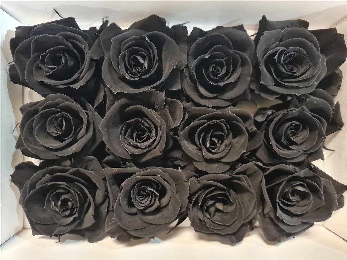Dutch Flower Studio - Wholesale Artificial Flowers - 🌸 Preserved Roses - 10 colors - Decoration - Flowers - 4 cm0