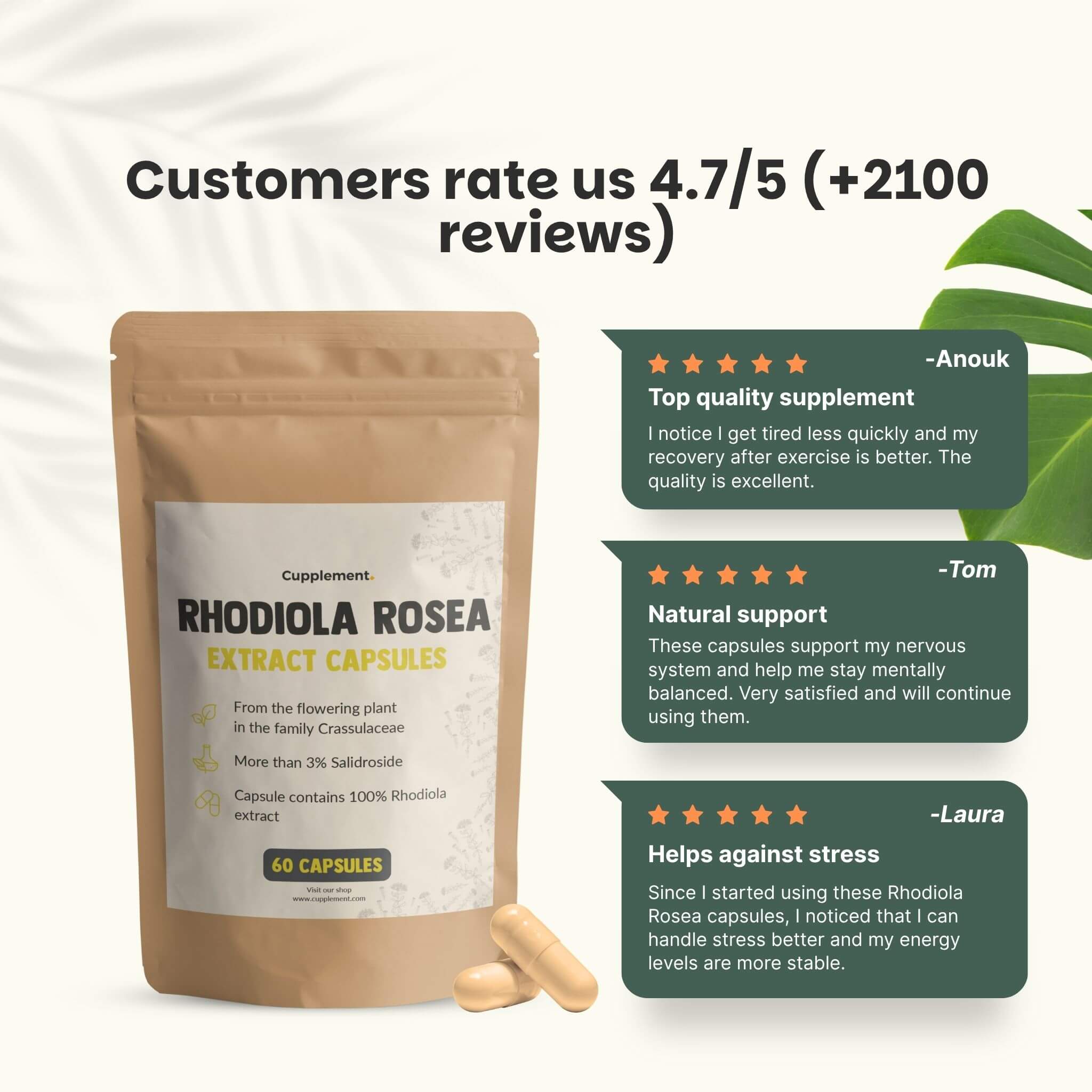 Cupplement b.v. - Wholesale Oral Supplement/Vitamin - Rhodiola Rosea Capsules 100mg  60 Capsules5