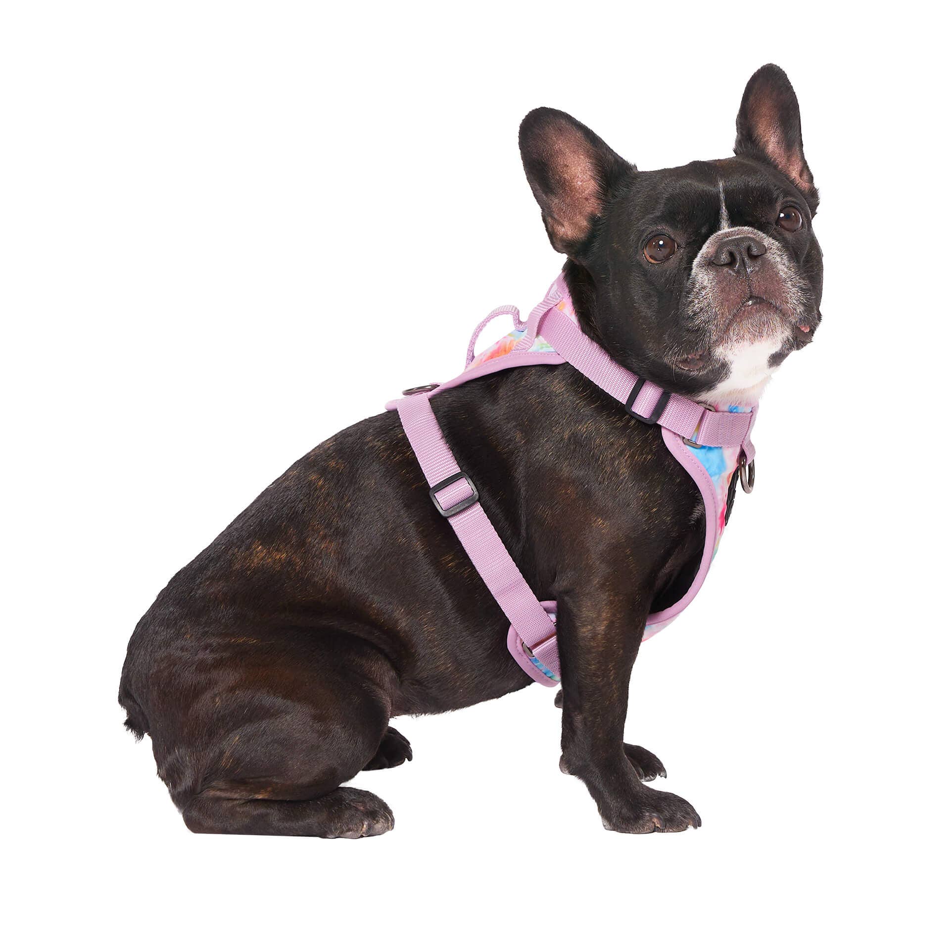 Canada Pooch – wholesale Pet harness – Dog – Everything Harness- No-Pull Dog Harness (Water Resistant)15