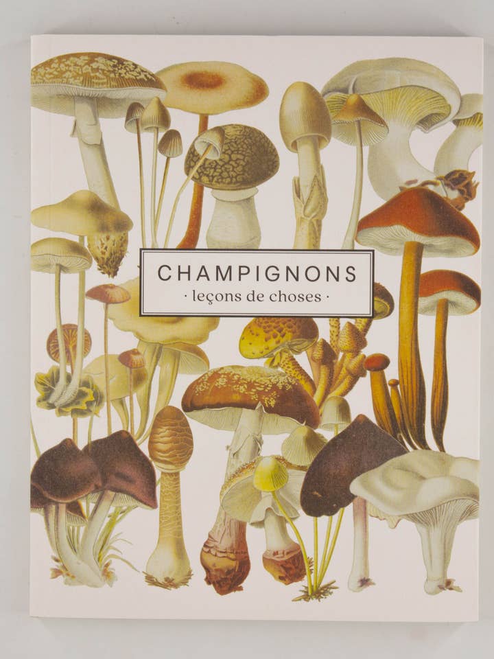 Notebook "Mushrooms" for wholesale by Les Jolies Planches