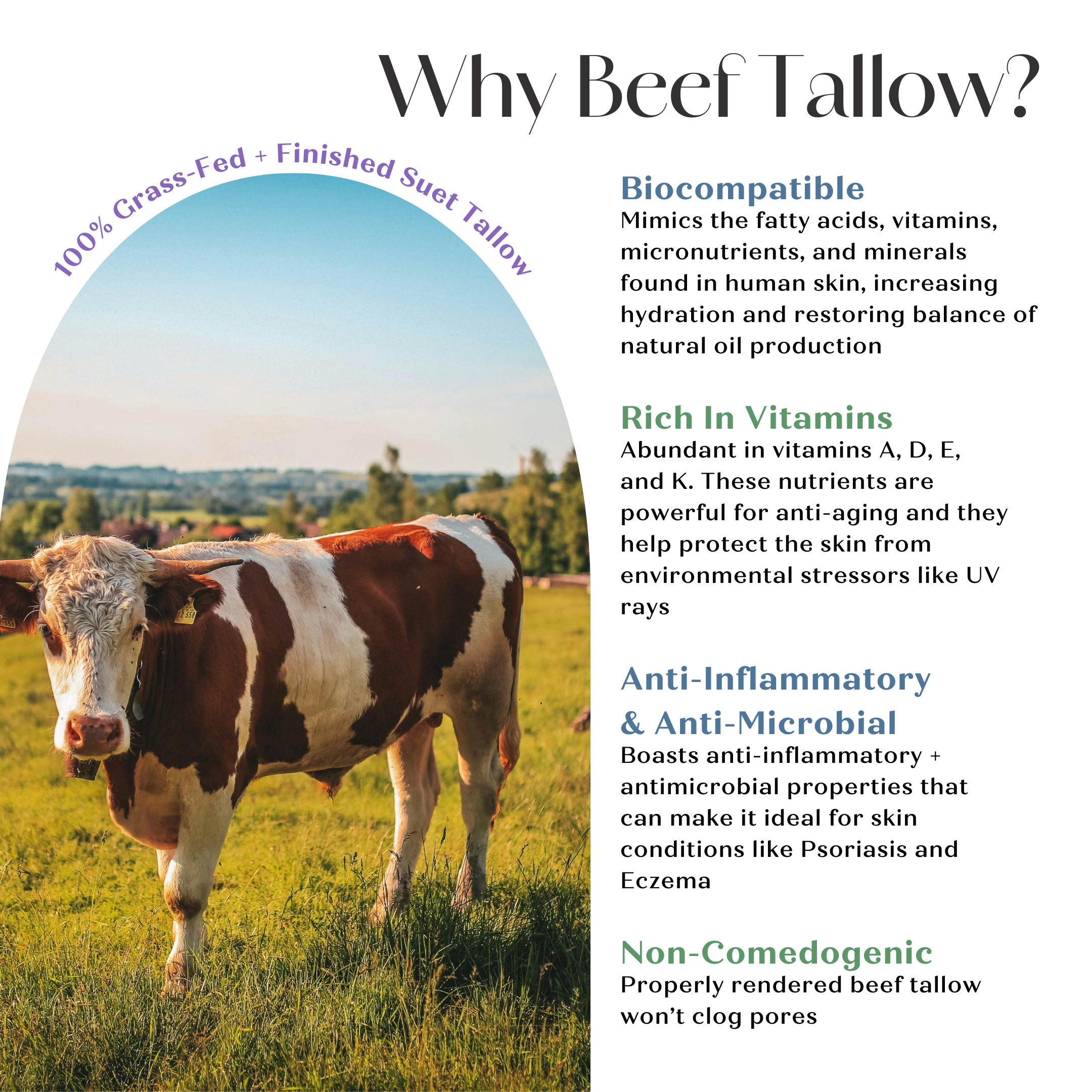 Rapha Blends - Wholesale Body Balm/Butter - Magnesium Infused Tallow & Honey Balm2