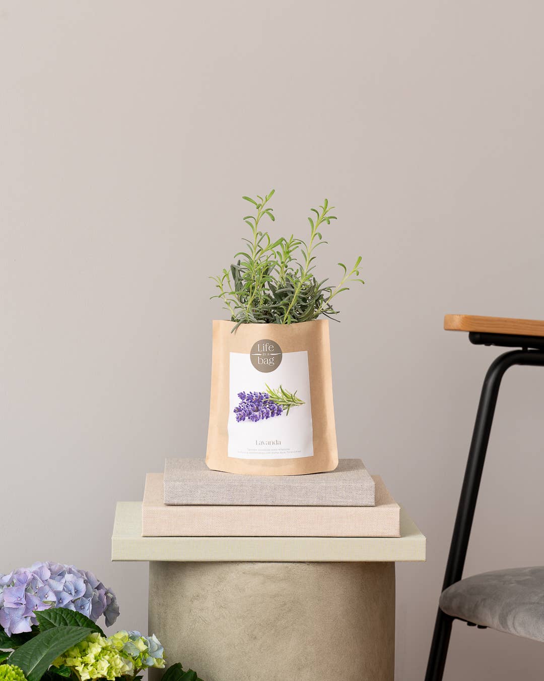 Life in a bag - Wholesale Plant Seeds - Grow Bag Lavender1