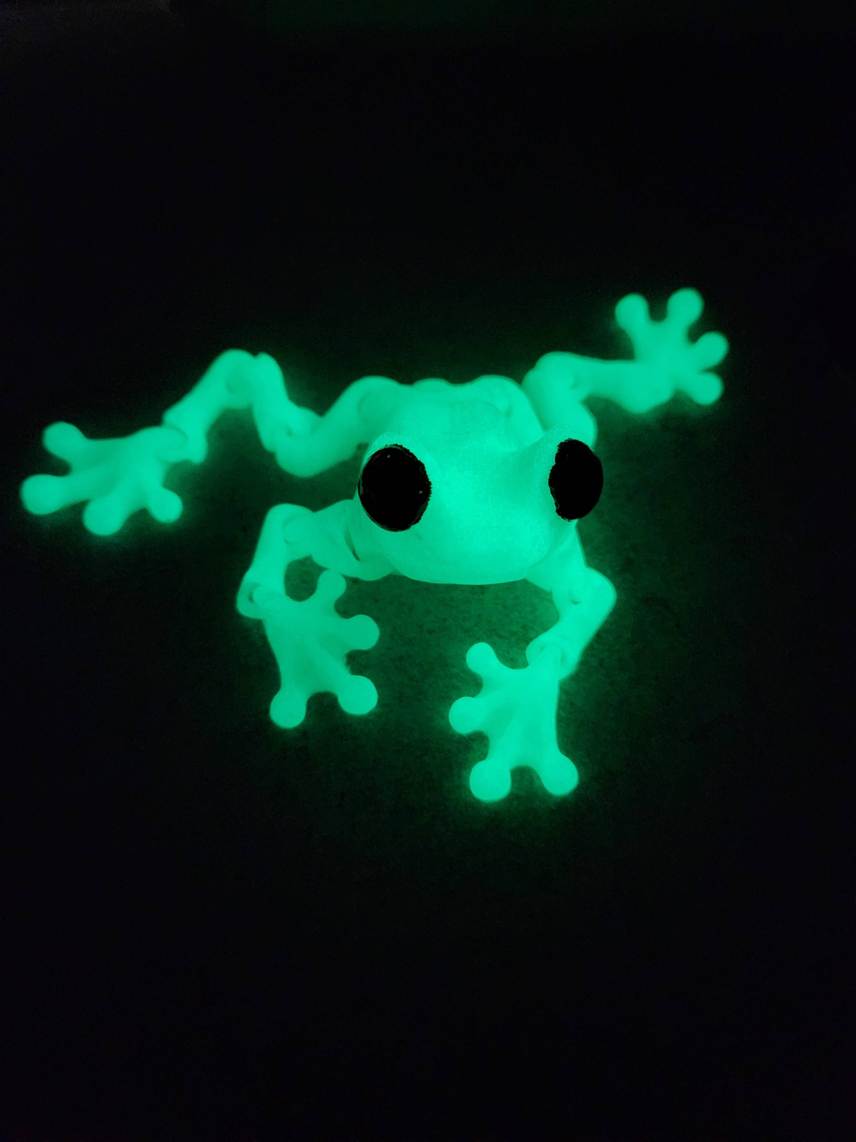 Altered Matter - Wholesale Fidget Toy - Kids - Froggy Friend - 3d Printed Fidget10