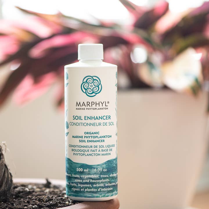 MARPHYL - Vente Engrais - Améliorant liquide du sol à base de phytoplancton marin 2 L (4 tailles)6