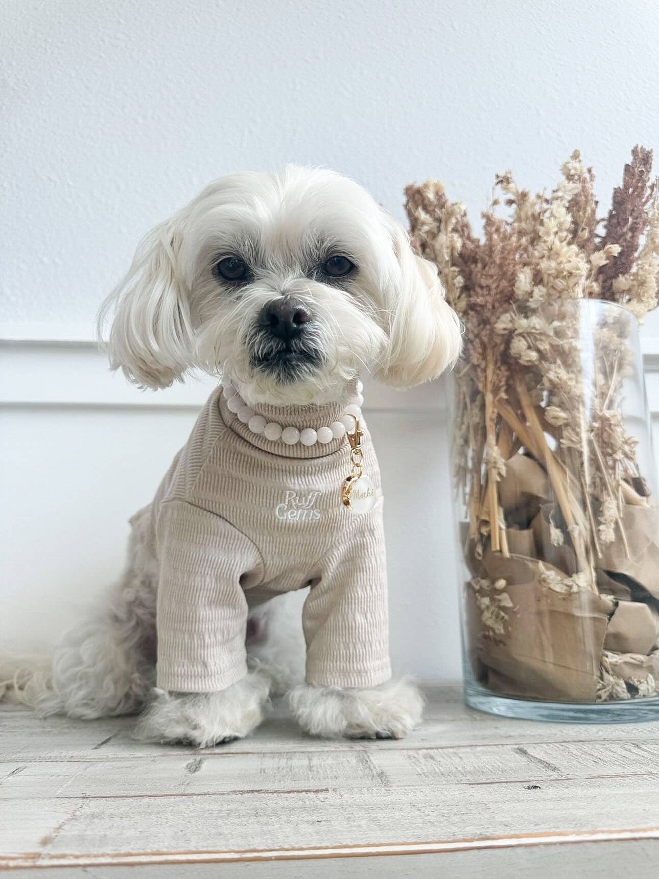 Ruff Gems Co - Wholesale Pet Shirt - Dog - Ultra Comfortable Luxury Dog Ribbed Stretch T Shirt6