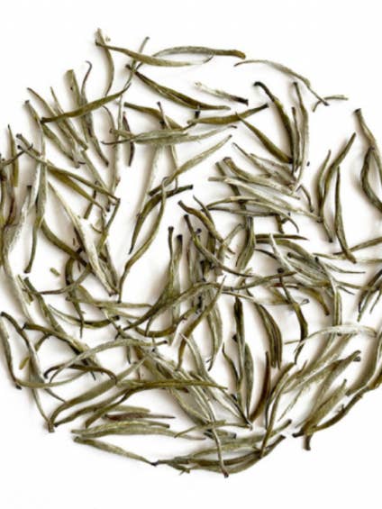 Chinese White Tea - Silver Needle 白毫银针 for wholesale by CHA'THE