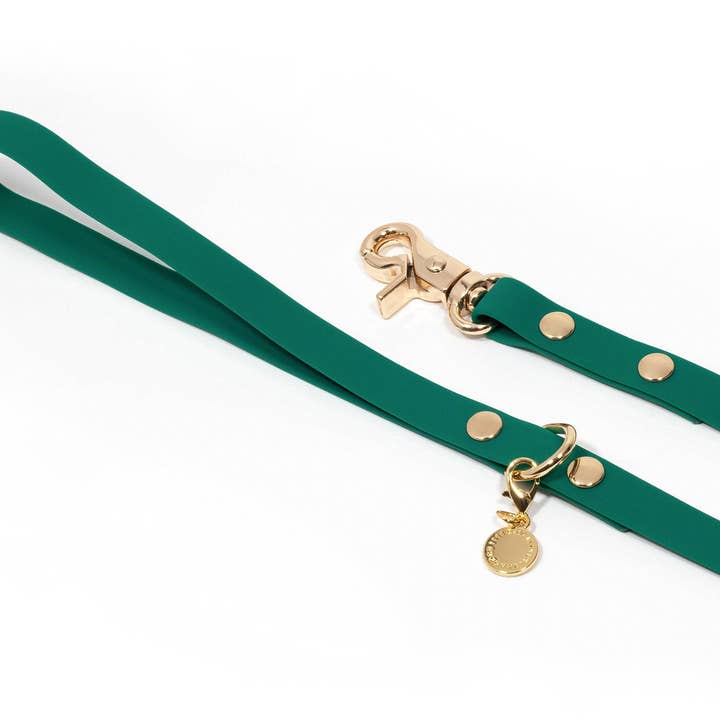 SUNNY TAILS - Venta al por mayor Correa - Perros - Correa para perro impermeable, verde, ligera, 4 pies, 5 pies, 6 pies