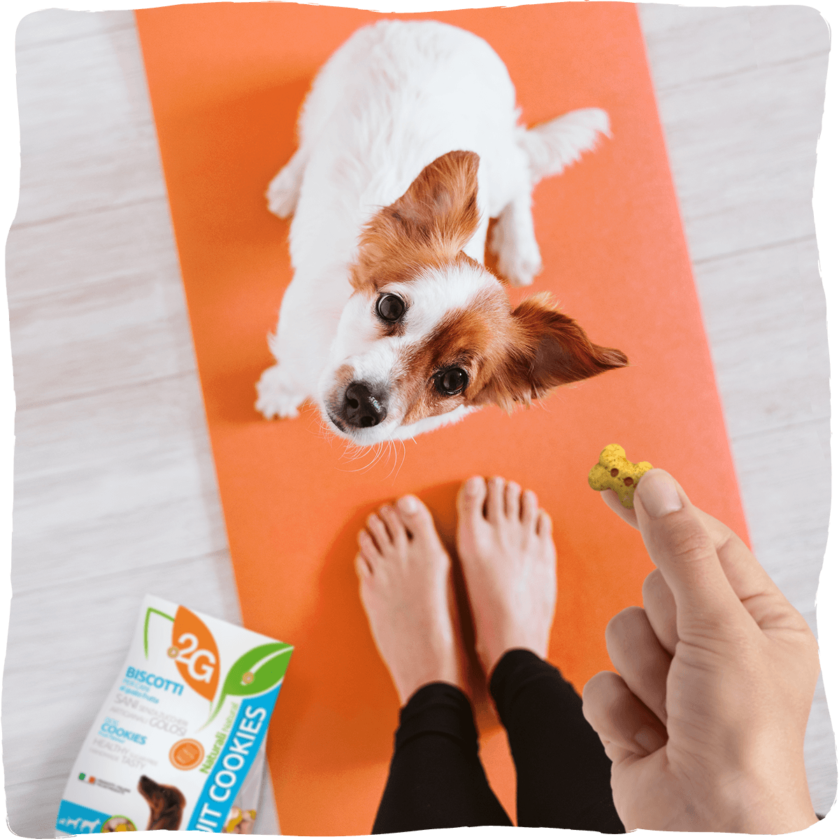 2G Pet Food, Equisnack, Equibar, Guidolin Gianni - Wholesale Pet Biscuit - Dog - Fruit Dog Cookies | 3 fruit flavors, no added sugars2