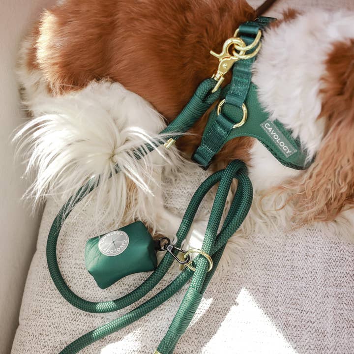 Cavology - Wholesale Pet Harness - Dog - EASY-O STEP IN HARNESS - Forest Green3