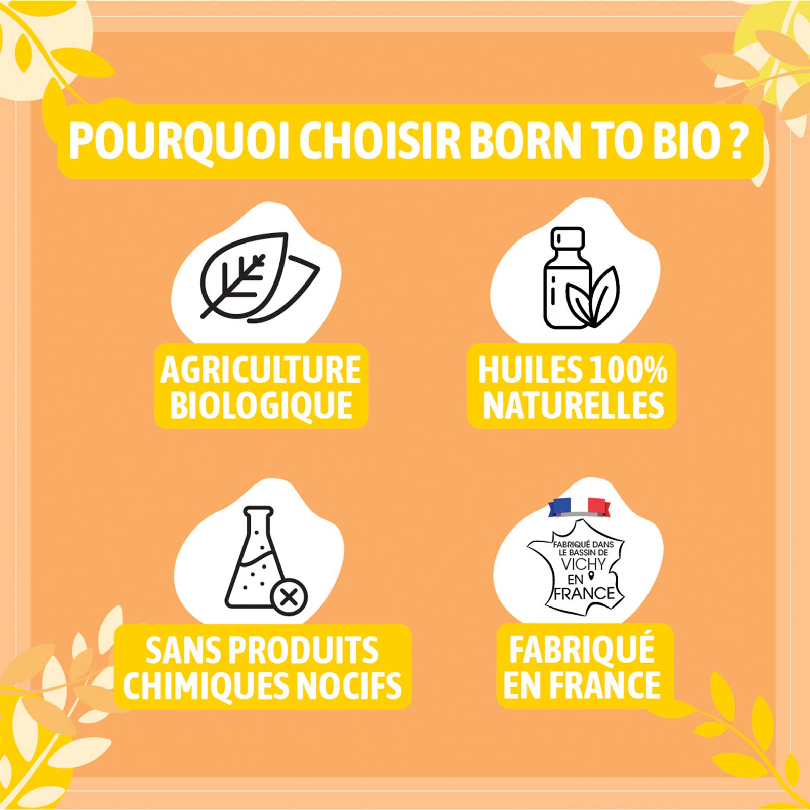 Les Laboratoires Bio Seasons - Wholesale Etherische olie - Biologische Italiaanse Helichrysum essentiële olie 5 ml2