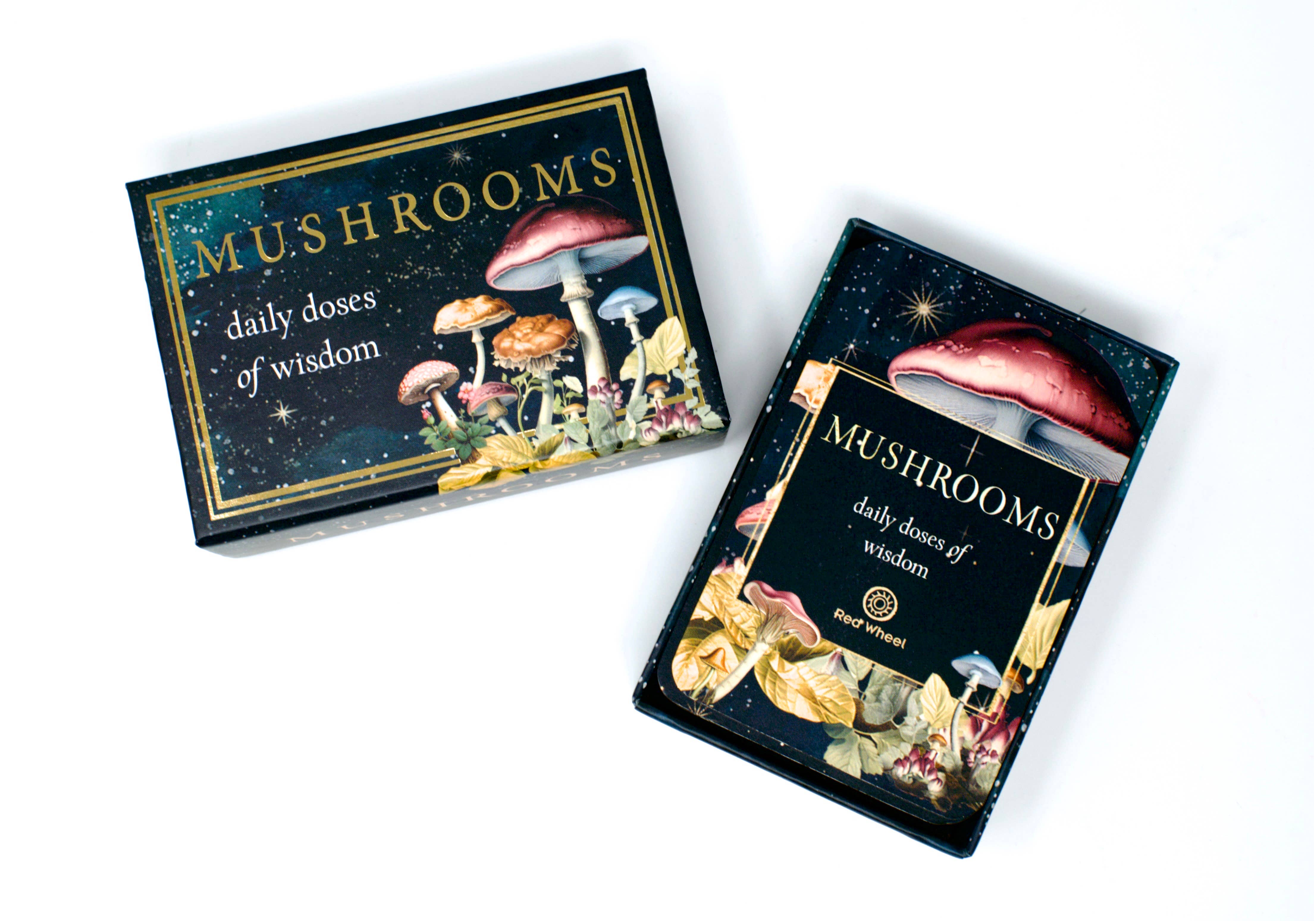 Red Wheel/Weiser LLC - Wholesale Tarot Cards - Mushrooms: Daily Doses of Wisdom (36 Gilt-Edged Mini Cards)16