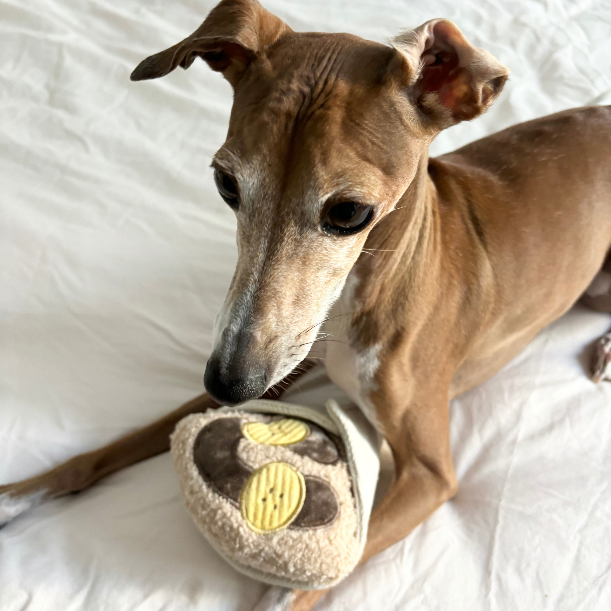 Lambwolf Collective - Wholesale Pet Squeaky Toy - Dog - CREPE // ENRICHMENT DOG TOY  1