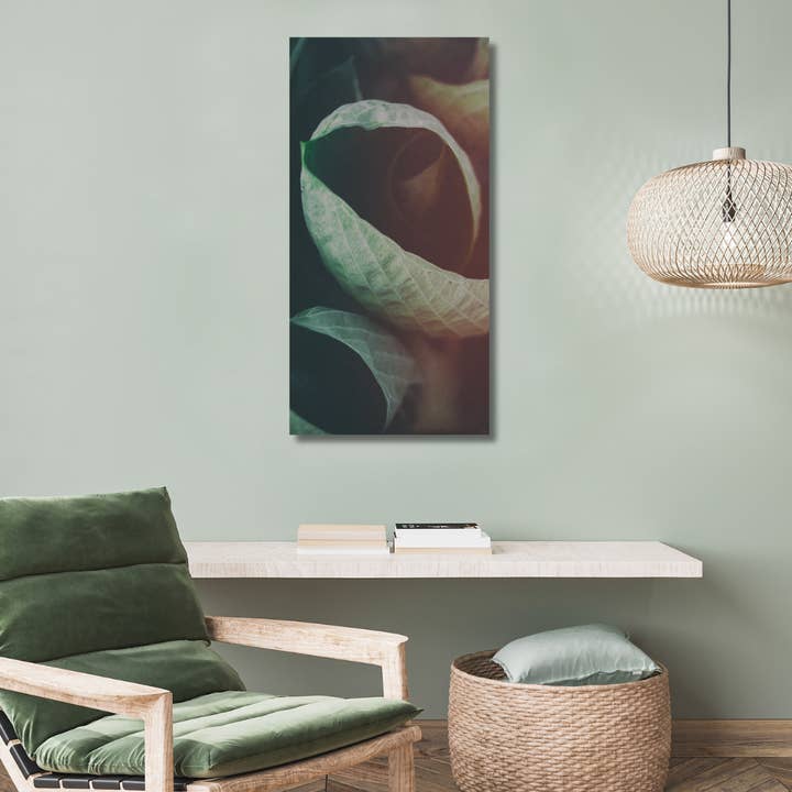 Alexis Arnold Photography - Wholesale Art Print - Acrylic Wall Art Modern Nature 2