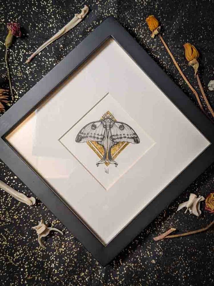 By Being Seldom Seen Comet Moth - Original Drawing for wholesale by Studio Umbralux