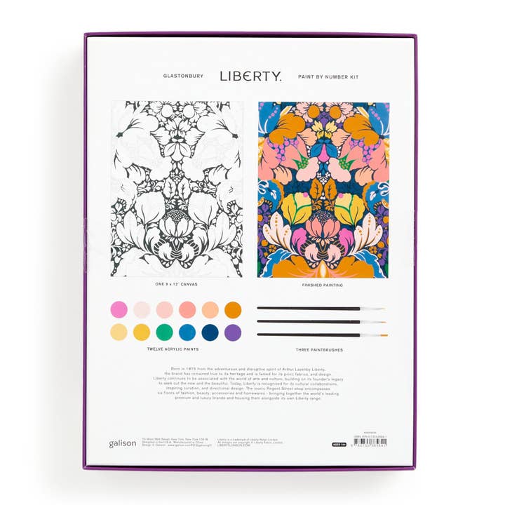 Chronicle Books - Wholesale Paint Set - Liberty 9 x 12 Paint by Number Kit Glastonbury8