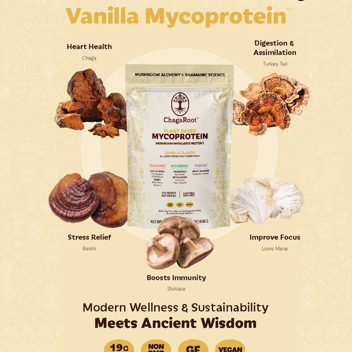 ChagaRoot – Großhandel Protein-/Superfood-Pulver – Mykoprotein