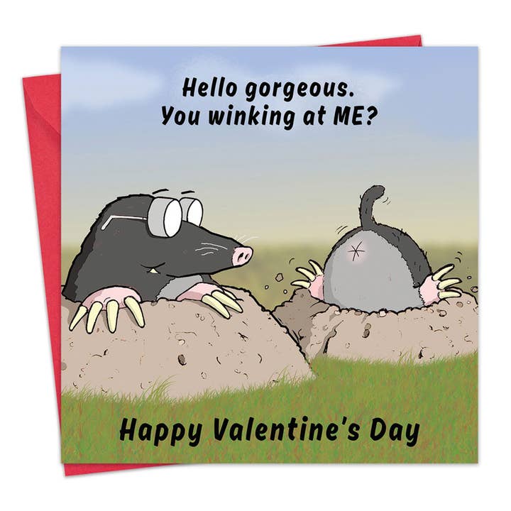 Twizler Ltd – wholesale Valentine's Day card – Winking At Me Funny Valentines Day Card