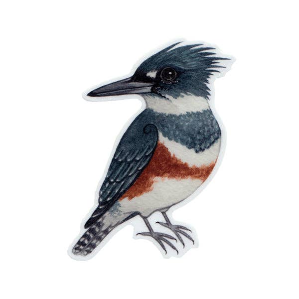Kate Dolamore Art - Wholesale Sticker - Belted Kingfisher (Female) Vinyl Bird Sticker