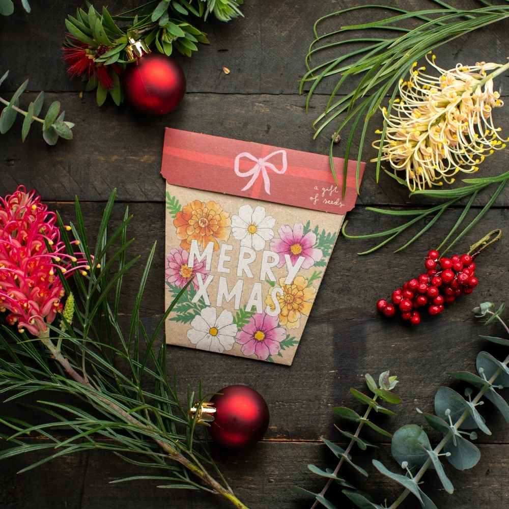 Sow 'n Sow - Vente Cartes de Noël - Cadeau de graines de fleurs de Noël (Australie uniquement)2