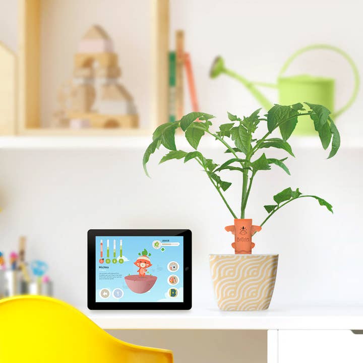 BOTAKI - Kit Totem Magique för wholesale av Botaki