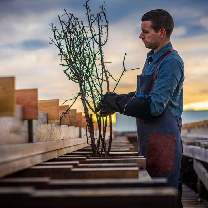 Mrs Bridges - Wholesale Salt - Blackthorn 100% Scottish Sea Salt Flakes (2 Sizes)3