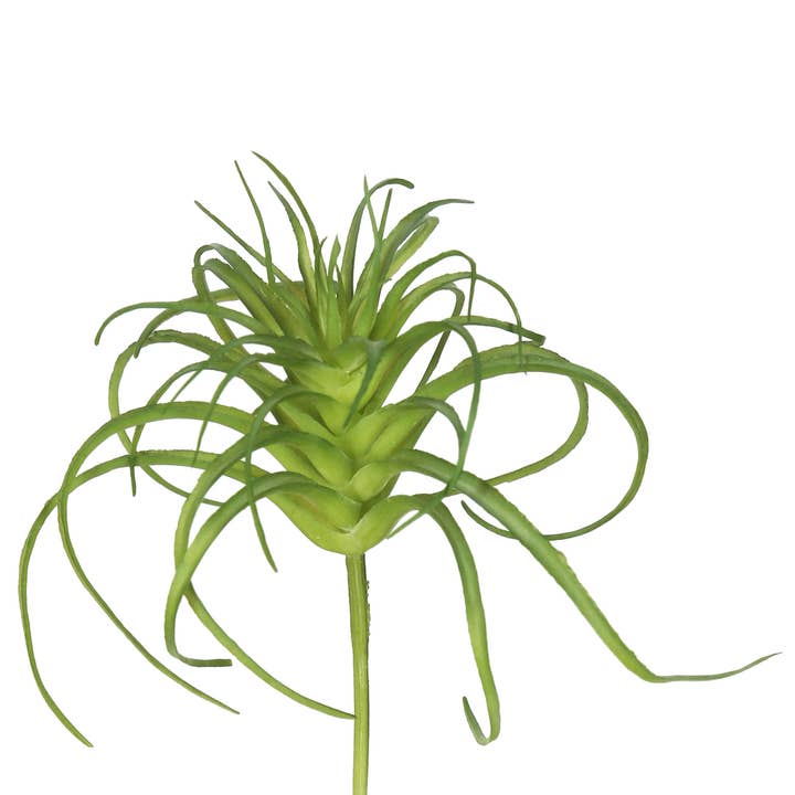 Vickerman 5" Artificial Frosted Green Grass Stem, Set of 6 for wholesale by Vickerman