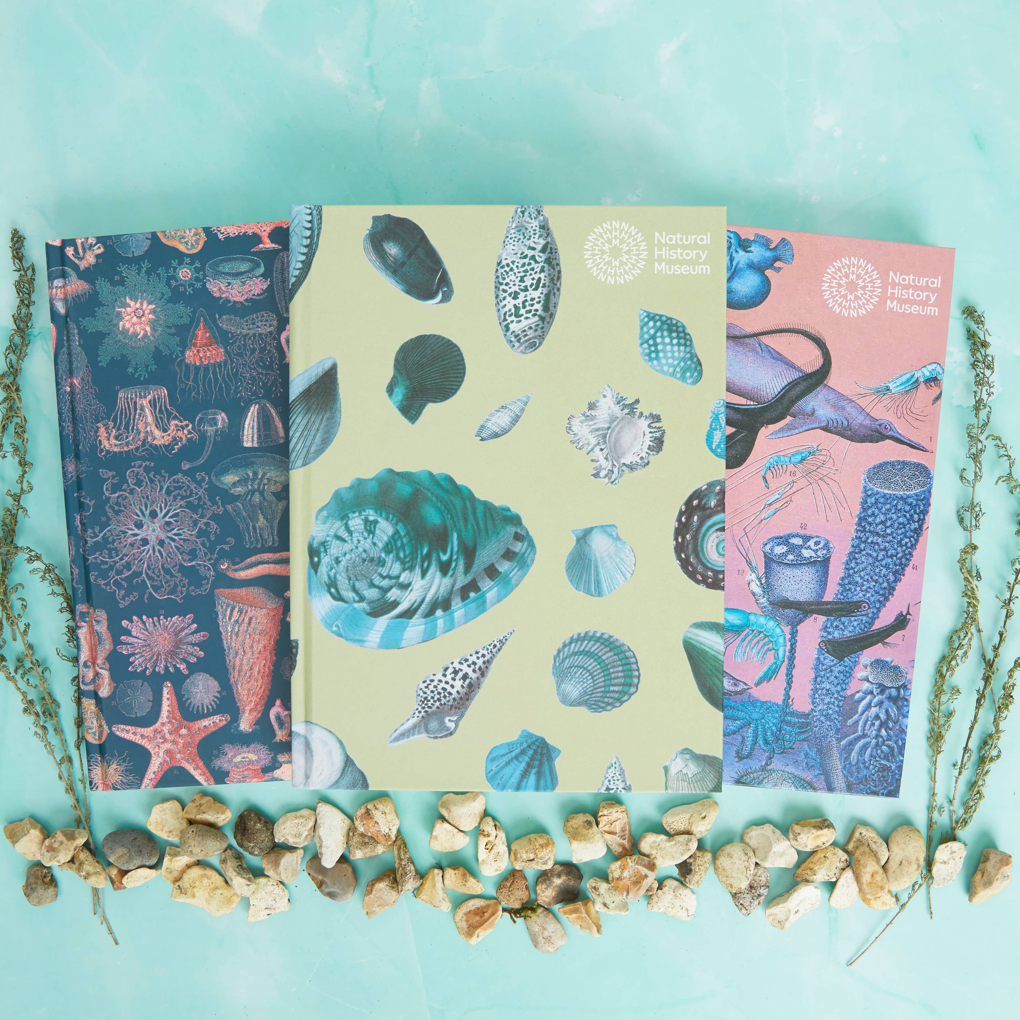 West Design Products – wholesale Sketchbook/sketchpad – Natural History Museum A5 Underwater Hardback Sketchbook5