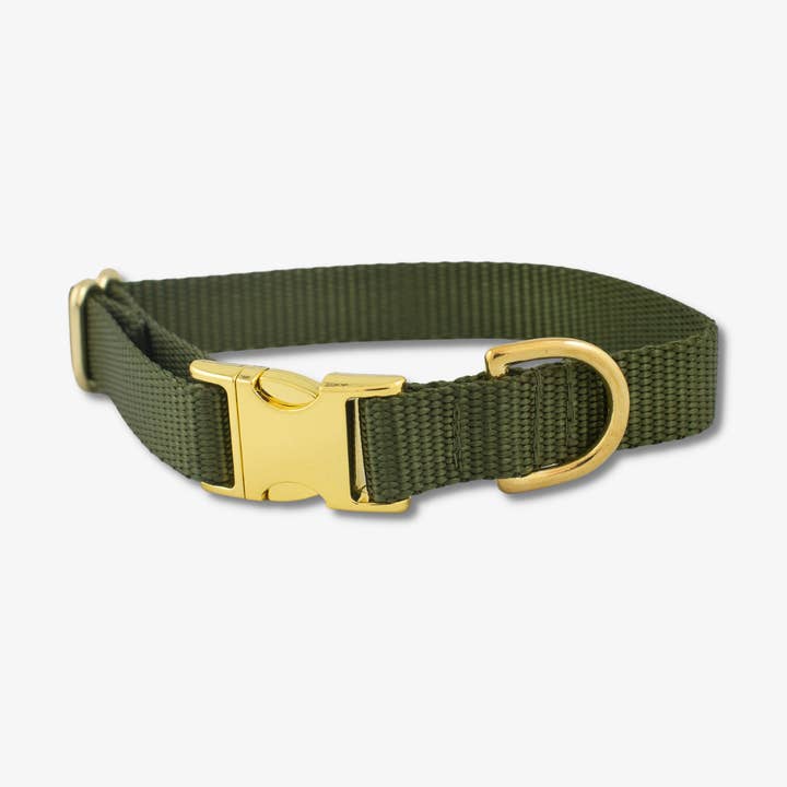 Olive Dog Collar for wholesale by The Rover Boutique