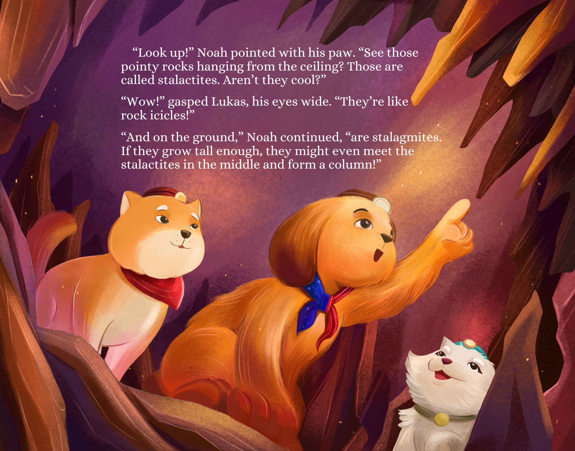 Miso and Kili's Treasure Shop - Wholesale Early Reader Book (6-8) - A Southern Arizona Cave Adventure Hardcover6