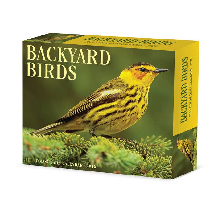 Backyard Birds 2026 Box Calendar, Daily Desktop for wholesale by Willow Creek Press & Gifts