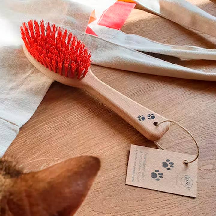 Lille træbørste til pelspleje af kæledyr for engroshandel hos Bioseptyl-1845-Empreinte