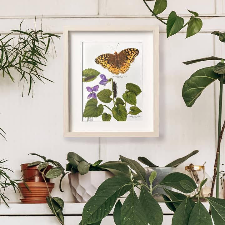 Moss and Mineral - Wholesale Art Print - Great Spangled Fritillary and Violet, Botanical Art Print 3