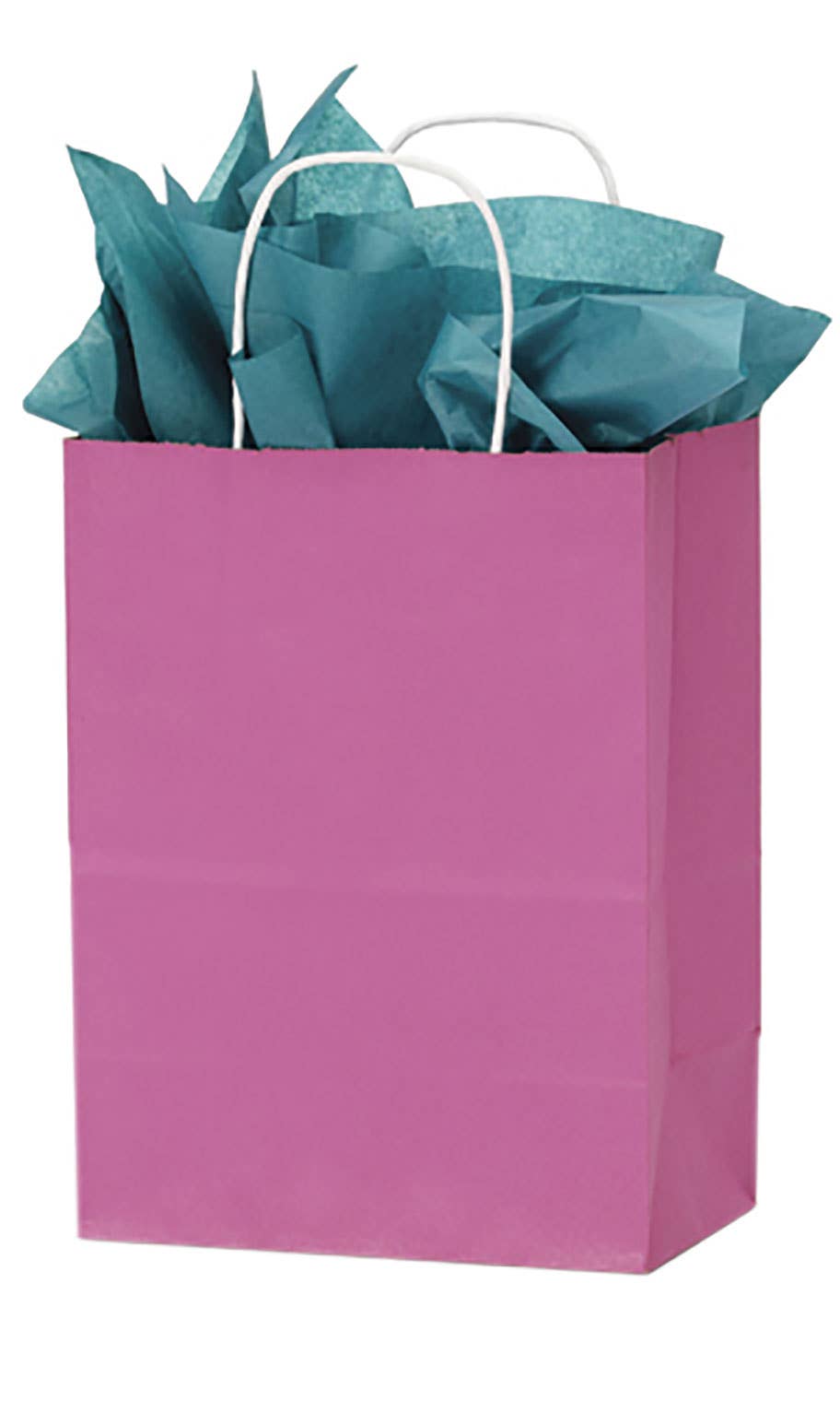 Store Supply Warehouse - Wholesale Gift Bag - Colorful Kraft Paper Shopping Bags4