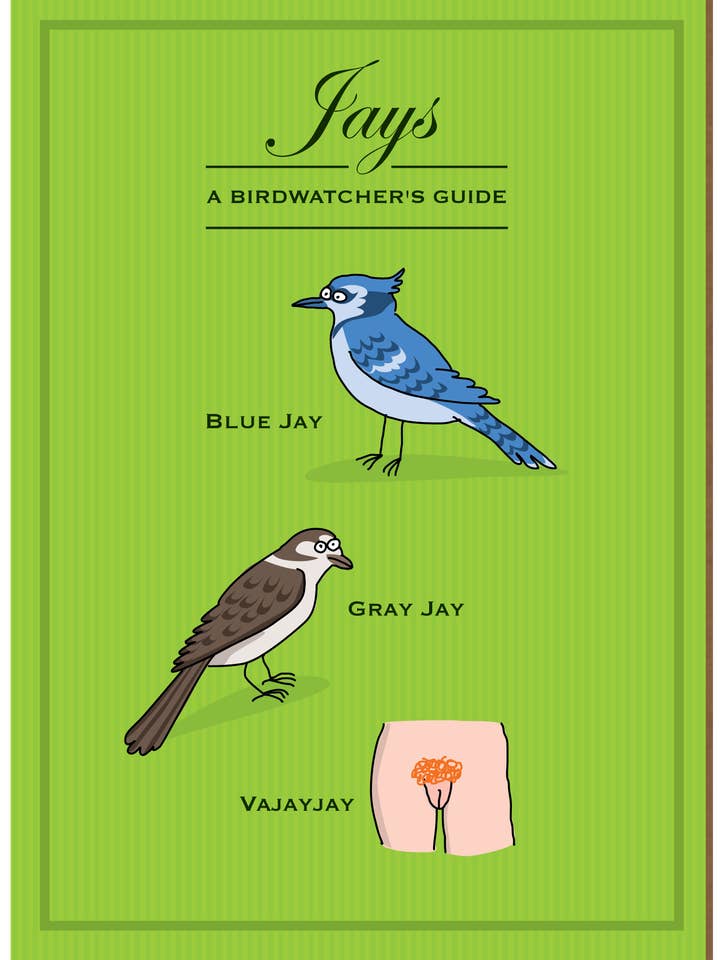 480 Jays (Geburtstagskarte) für den Großhandel von Clayboys Cards