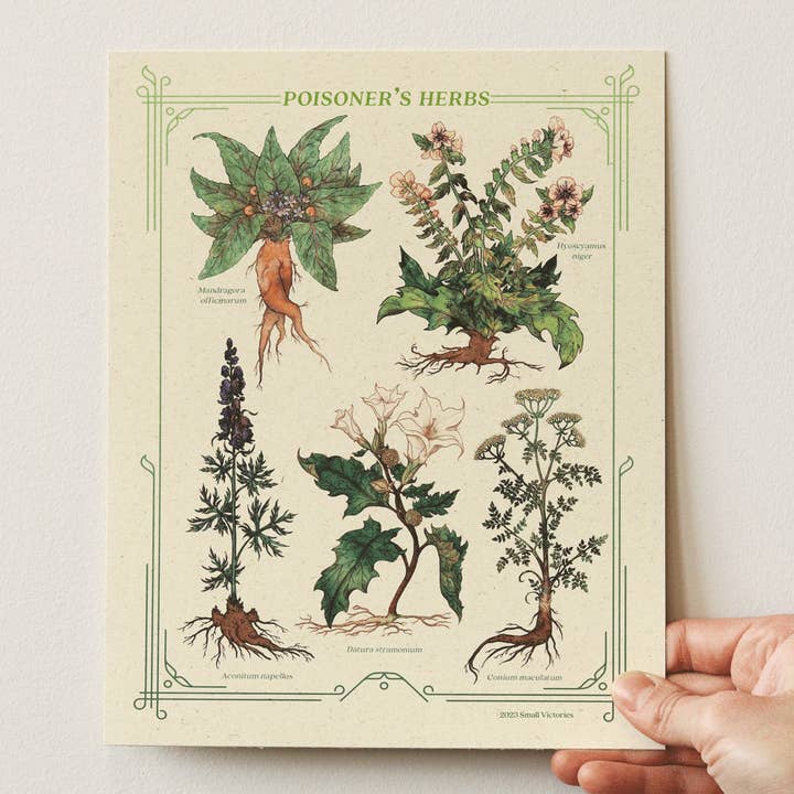 Small Victories - Wholesale Art Print - Poisoner's Herbs Print